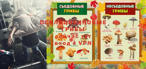 крисы Володарск
