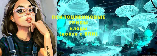 крисы Володарск